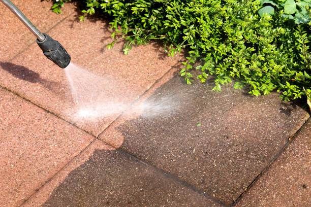 Best Roof Pressure Washing  in Hartshorne, OK